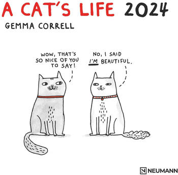 Neumann A Cat's Life 2024 30x30/60cm