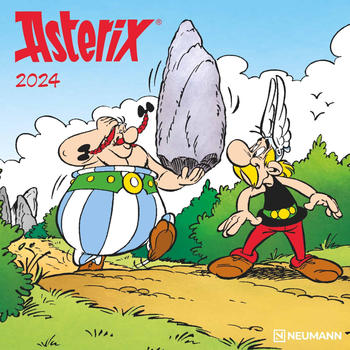Neumann Asterix 2024 30x30/60cm