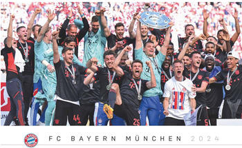 Neumann FC Bayern München 2024 60x50cm