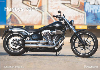 Neumann Harleys 2024 42x29,7cm 42x29,7cm