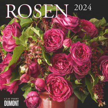 DuMont Rosen 2024 30x30/60cm