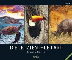 Korsch Verlag Bedrohte Tierwelt 2024