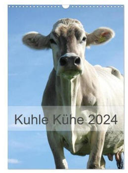 Calvendo Kuhle Kühe 2024 A3 Hoch