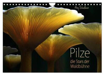 Calvendo Pilze - Die Stars Der Waldbühne 2024 A4 Quer