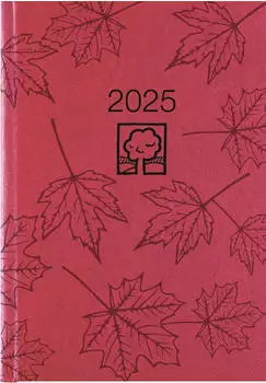 Zettler Wochenbuch 766 2025 rot