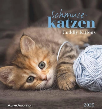 Alpha Edition Schmusekatzen 2025 16x17cm
