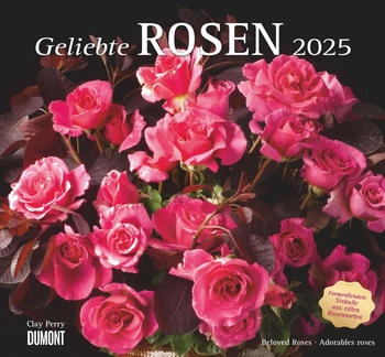 DuMont Geliebte Rosen 2025 30x30cm