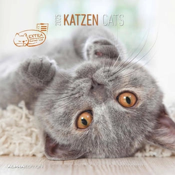 Neumann Verlage Katzen 2025 30x60cm