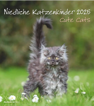 Neumann Verlage Niedliche Katzenkinder 2025 30x34cm