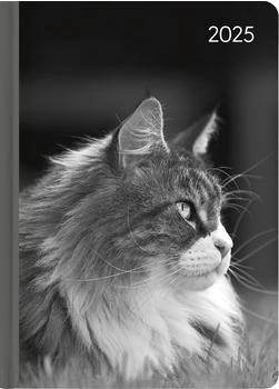 Alpha Edition Ladytimer Cat 2025 10,7x15,2cm