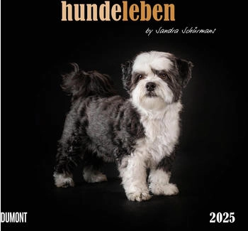 DuMont Hundeleben 2025 38x35,5cm Foto-Kunst-Kalender