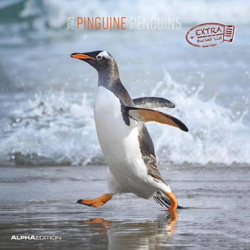 Neumann Verlage Pinguine 2025 30x60cm