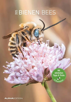 Alpha Edition Bienen 2025 Bildkalender 23,7x34cm