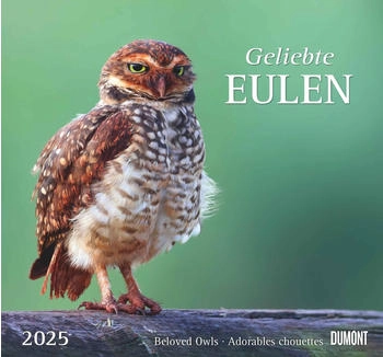 DuMont Geliebte Eulen 2025 38x35,5cm