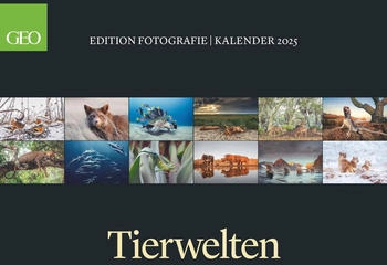Neumann Verlage GEO Edition: Tierwelten 2025 70x60cm