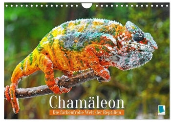 Calvendo Chamäleon: Die farbenfrohe Welt der Reptilien 2026 (DIN A4)