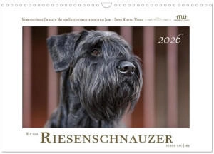 Calvendo Mit dem Riesenschnauzer durch das Jahr 2026 (DIN A3)