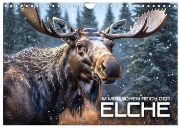 Calvendo Im magischen Reich der Elche 2026 (DIN A4)