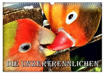 Calvendo Die Unzertrennlichen 2026 (DIN A3)