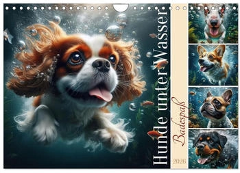 Calvendo Badespaß - Hunde unter Wasser 2026 (DIN A4)