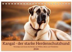 Calvendo Kangal - der starke Herdenschutzhund 2026 (DIN A5)