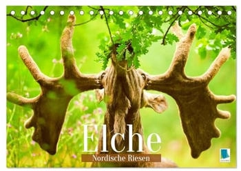 Calvendo Elche: Nordische Riesen 2026 (DIN A5)