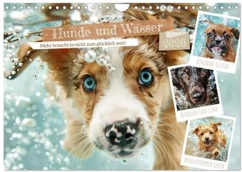 Calvendo Hunde und Wasser 2026 (DIN A4)