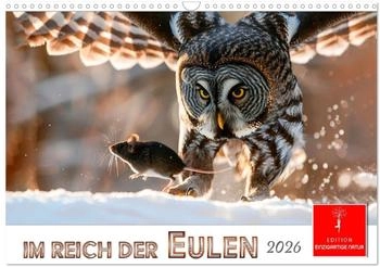 Calvendo Im Reich der Eulen 2026 (DIN A3)