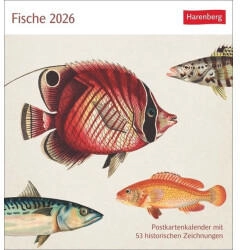 Harenberg Fische Postkartenkalender 2026