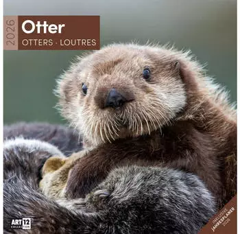 Ackermann Kunstverlag Otter Broschürenkalender 2026 - 30x30 - Art12