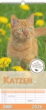 Neumann Verlage Dumont - Katzen Kalender 2026 - Familienplaner 20x45 cm