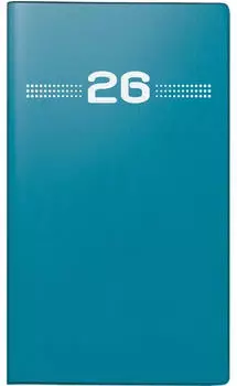 Rido Taschenkalender Miniplaner d15 8,7x15,3cm 1 Monat/2 Seiten Kunststoff petrol 2026