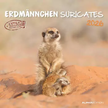 Neumann Verlage Alpha Edition - Erdmännchen 2026 Broschürenkalender, 30x30 cm