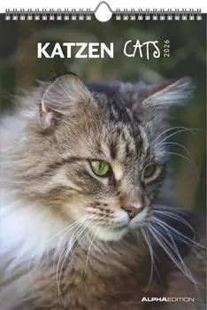 Neumann Verlage Katzen 2026 - Bildkalender 23,7x34 cm
