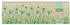 Neumann Verlage Tischquerkalender Graspapier 2026 - 32x10,5 cm