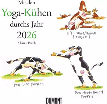 Neumann Verlage Dumont - Mit den Yoga-K&uuml;hen durchs Jahr 2026 - Wandkalender - Quadratformat 23x23 cm