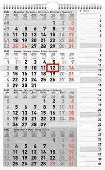 Rido 4-Monatskalender 2027 grau, 300×490mm (7033430007)