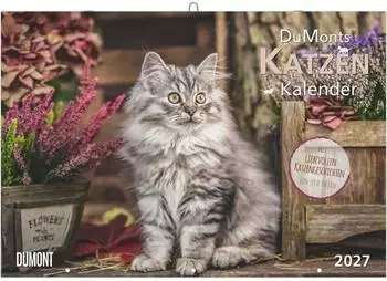 DuMont DuMonts Katzen Kalender 2027, Wandkalender 42x29cm (4069095010697)