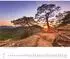 DuMont Heimische Bäume 2027 Wandkalender 60x50cm, Naturfotografie