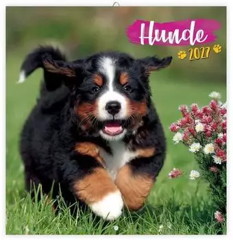 Tr&ouml;tsch Brosch&uuml;renkalender Hunde 2027