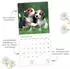 Trötsch Broschürenkalender Hunde 2027