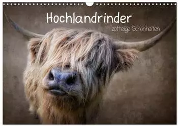 Calvendo Hochlandrinder &ndash; Zottelige Sch&ouml;nheiten, Wandkalender 2027 DIN A3 quer