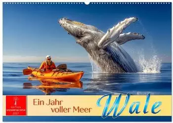 Calvendo Wandkalender 2027 "Wale - ein Jahr voller Meer" DIN A2 quer