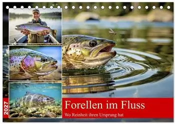 Calvendo Forellen im Fluss Tischkalender 2027 DIN A5 quer