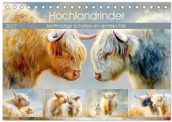 Calvendo Hochlandrinder &ndash; Sanftm&uuml;tige Schotten im dichten Fell, Tischkalender 2027 DIN A5 quer