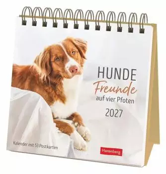 Harenberg Hunde Premium-Postkartenkalender 2027 "Freunde auf vier Pfoten" 53 Postkarten, Wochenkalender 16,5x17,7cm