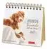 Harenberg Hunde Premium-Postkartenkalender 2027 