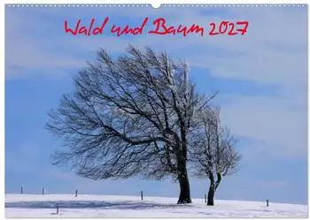 Calvendo Wald und Baum 2027 Wandkalender DIN A2 quer