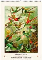 Ernst Haeckel. Kunstformen der Natur. Wandkalender 2027