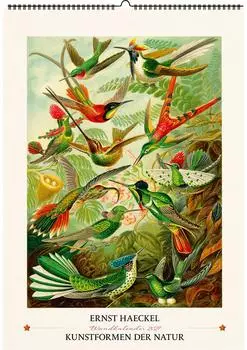 Favoritenpresse Kunstformen der Natur Wandkalender 2027